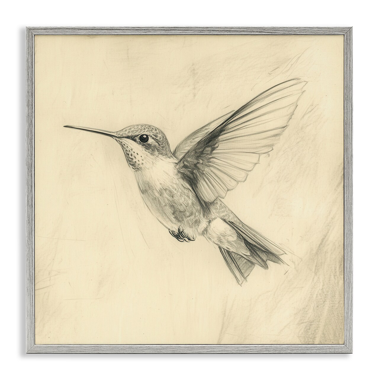 Stupell Industries Vintage Hummingbird Sketch Framed Giclee, design by Petal Prints Design